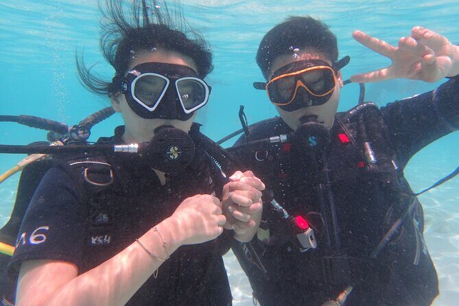 2 Days Diving Trip to Koh Tao Including 4 Dives and Accommodation - Day 2’s two-sessions plan: the one-hour surface interval