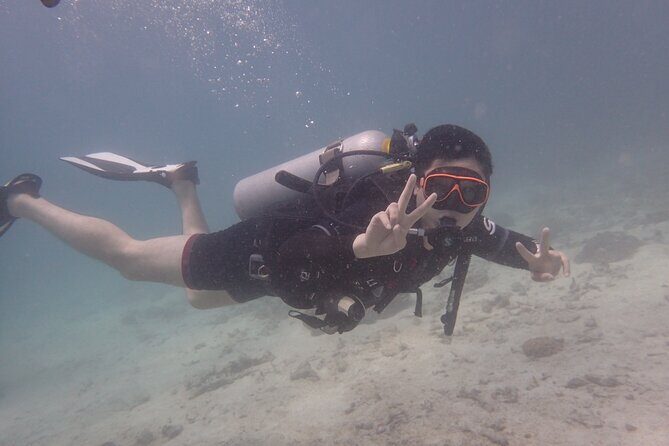 2 Days Diving Trip to Koh Tao Including 4 Dives and Accommodation - Night underwater session, deep-sea sessions, and a wreck: the variety payoff