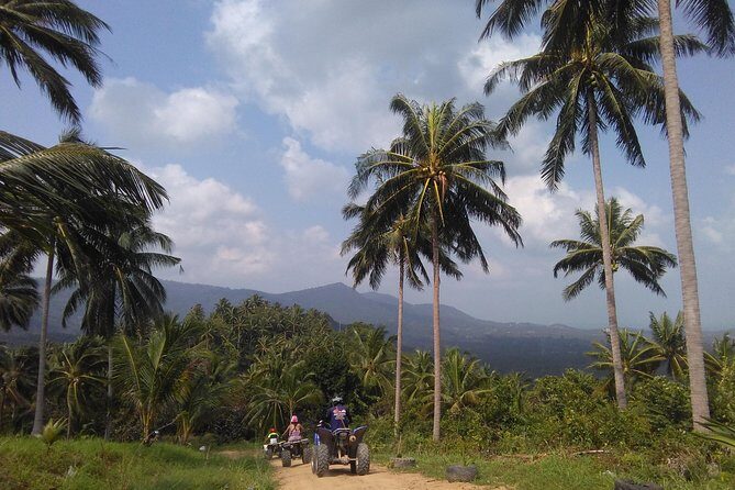 2-Hour Koh Samui ATV Quad Tour - Where you start and how the day flows (pickup to drop-off)