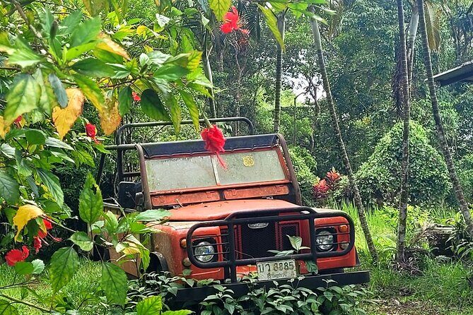 6 Hours Off-Road 4x4 Hidden Gem Adventure 1 - 8 People - How the 6-hour route flows (and why each stop matters)