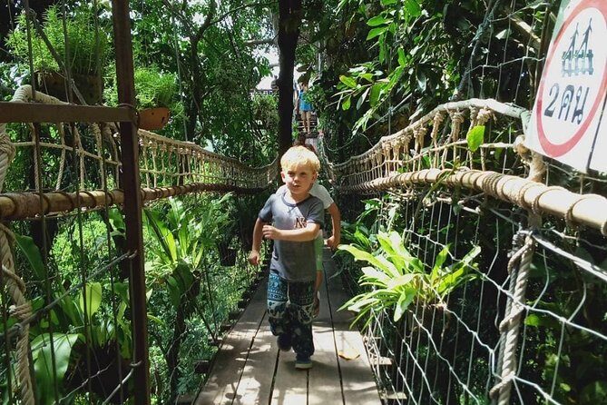 6 Hours Off-Road 4x4 Hidden Gem Adventure 1 - 8 People - Tree Bridge Coffee and the zipline choice