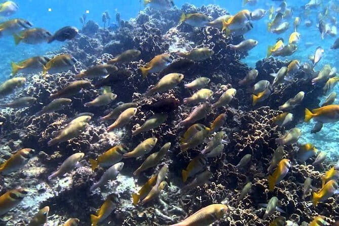 Ang Thong National Marine Park Full Day Tour - Price and value: what $70 includes and what it doesn’t