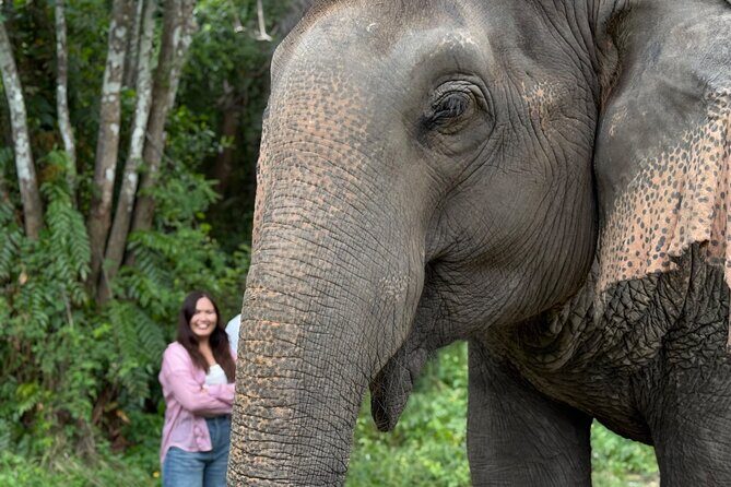 Army Jeep Jungle Safari and Elephant Freedom Rescue Centre Tour - Key highlights at a glance