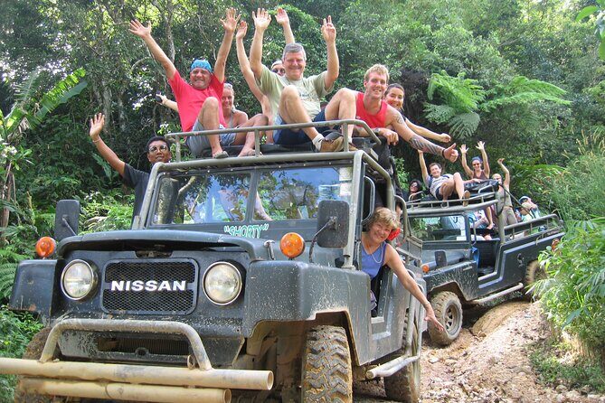 Army Jeep Jungle Safari and Elephant Freedom Rescue Centre Tour - Elephant Freedom Rescue Centre: ethical observation with real involvement
