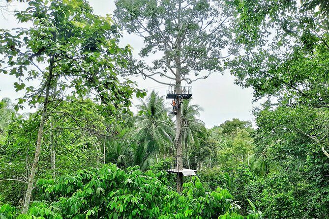 ATV And Zipline Experience on Koh Samui with Transfer - Hotel Transfer: Why This Setup Matters in Koh Samui