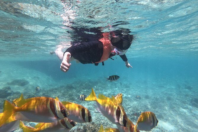 Beyond Angthong 42 Islands Premium Service Trip By Speedboat From Koh Samui - Key things to know before you go