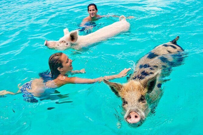 Discover Pig Island & Koh Tan: Private Longtail Trip - What You Really Get: Koh Tan and Pig Island by Private Longtail
