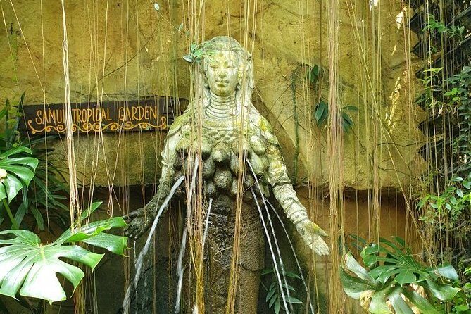 Eco Jungle Safari Tour around Koh Samui Including Lunch - Timing, Pickup, and How a Long Day Feels in Real Life