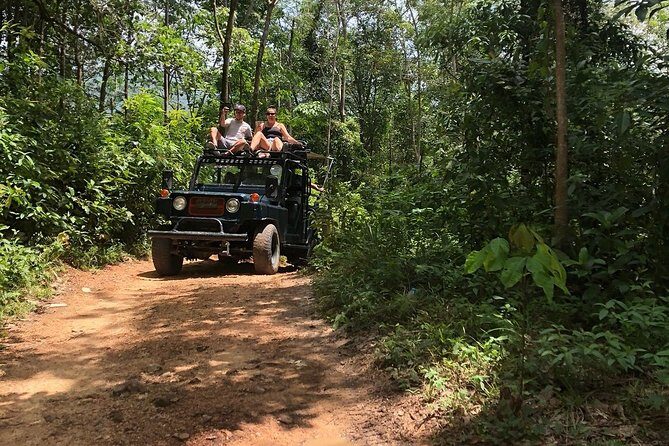 Eco Jungle Safari Tour around Koh Samui Including Lunch - Price and Value: What $66.66 Buys You