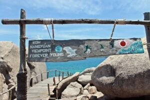 From Koh Samui: Koh Tao & Koh Nang Yuan Snorkeling (by Speedboat) - Speedboat transfers: quick crossings, watch the conditions