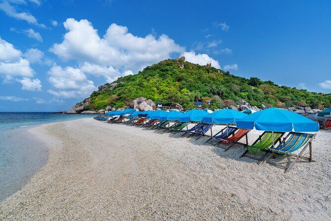 From Samui: Ko Tao and Koh Nang Yuan Speedboat Day Trip - Boat Reality Check: Comfort, Seasickness, and How to Use Your Seat