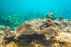 Full-Day Cruise of Koh Nang Yuan and Koh Tao From Koh Samui - Stop-by-stop: your day from Nang Yuan to Ao Tanot Bay