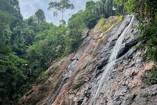 Half Day Highlights Koh Samui Tour - Price and value: why $30.98 can feel fair (or not)