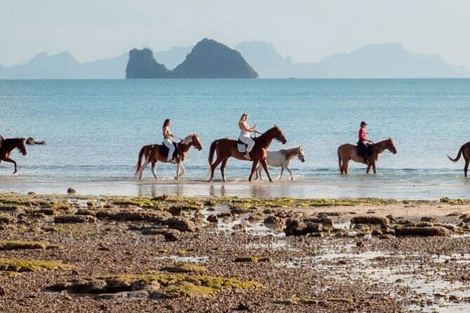 Horse Riding and Beach Trails on Koh Samui - From check-in to tropical gardens: what happens before you hit the sand