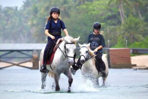 Horse Riding and Beach Trails on Koh Samui - Beach trails and guided pacing: walking, a bit of trot, and sea views