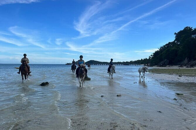 Horse Riding and Beach Trails on Koh Samui - Can you ride into the water? What the on-site check really means