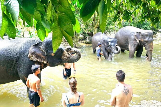 Horse Riding and Beach Trails on Koh Samui - Practical tips: what to wear, where to meet, and how to avoid surprises