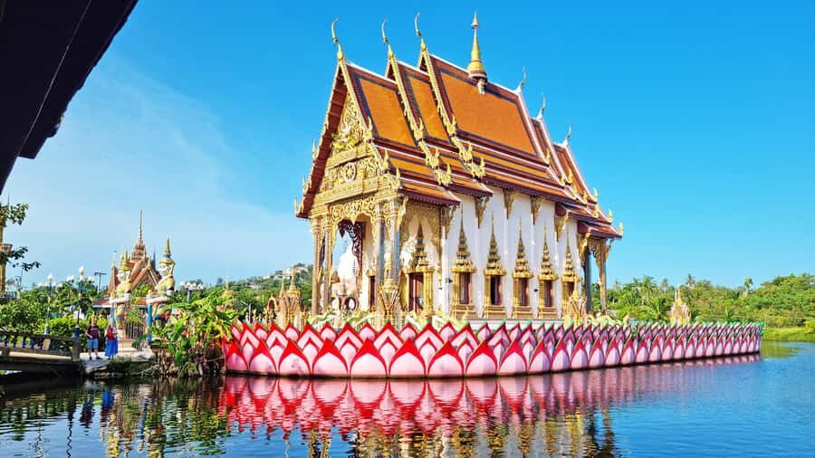ISLAND TOUR ECO AROUND KOH SAMUI HALF DAY RARE SIGHTSEEING - Hin Ta & Hin Yai (Grandfather and Grandmother Rocks): a famous symbol with guided meaning