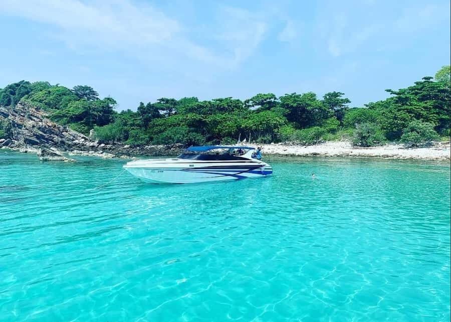 Ko Samui: Pig Island Snorkeling and Koh Tan Speedboat Tour - Key points before you go