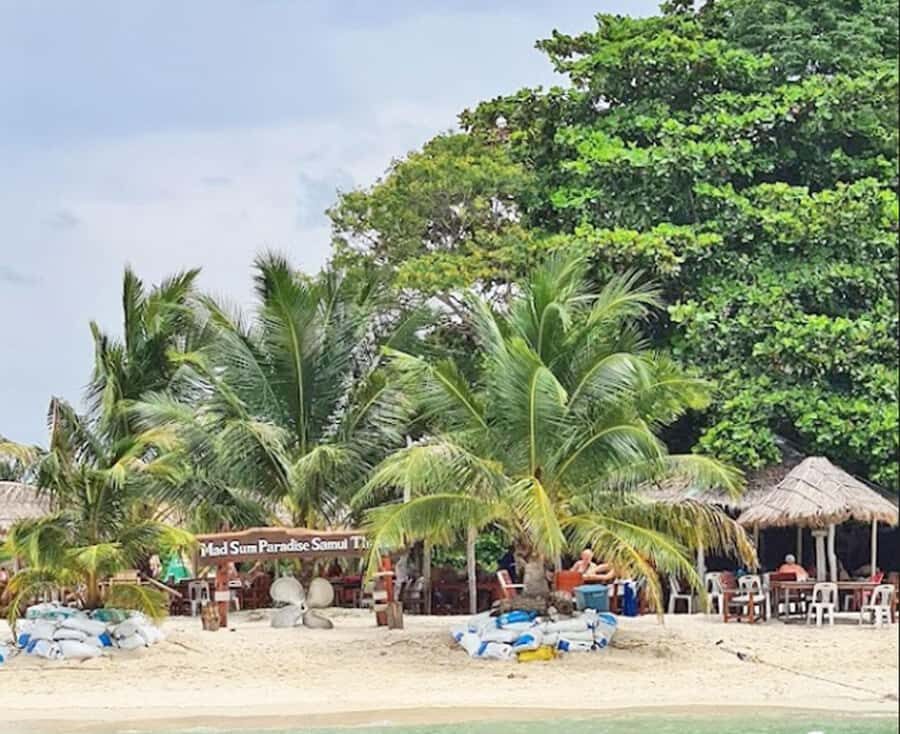 Ko Samui: Pig Island Snorkeling and Koh Tan Speedboat Tour - Koh Mudsum (Pig Island): where the real time is