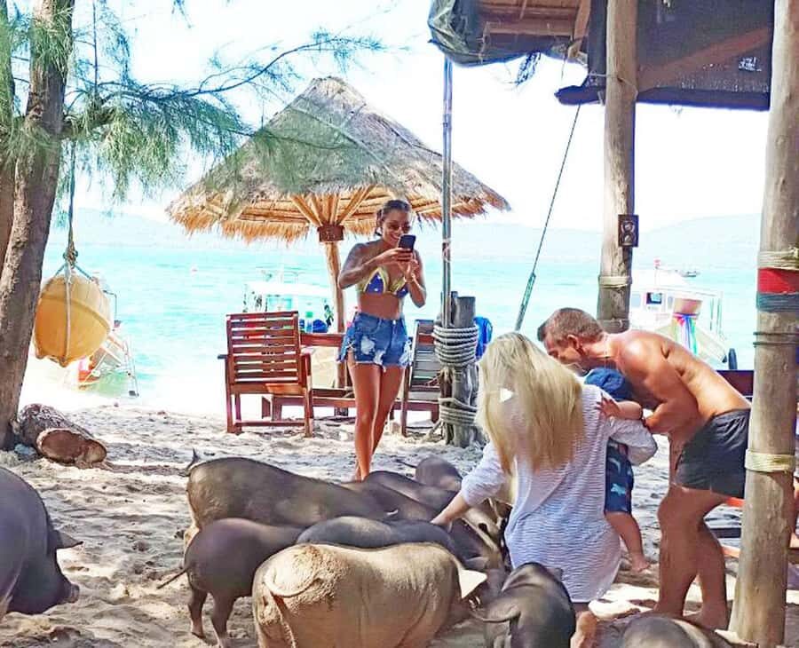 Ko Samui: Pig Island Snorkeling and Koh Tan Speedboat Tour - The return trip and drop-off timing