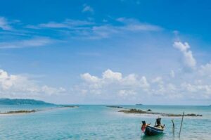 Ko Samui: Private Longtail Boat Tour to Koh Madsum & Koh Tan - Pig Island (Koh Madsum): pigs, sand, and a practical heads-up