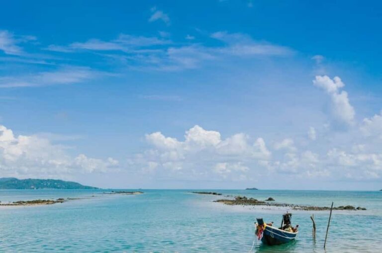 Ko Samui: Private Longtail Boat Tour to Koh Madsum & Koh Tan - Pig Island (Koh Madsum): pigs, sand, and a practical heads-up
