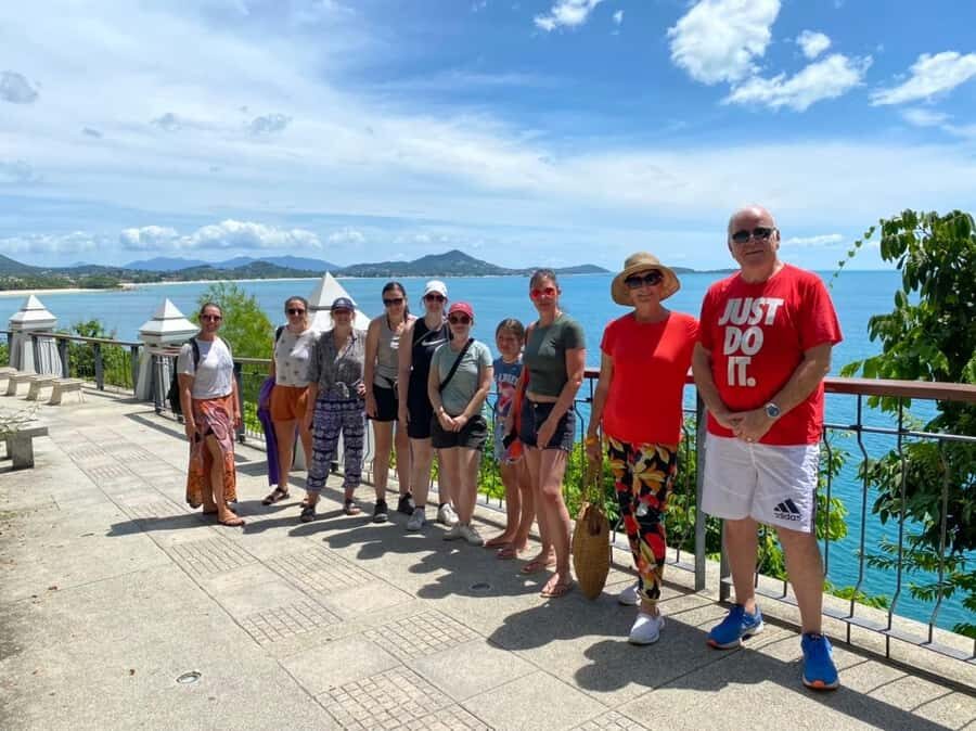Koh Samui City Tour with Cultural and Scenic Highlights - Namuang Waterfalls: Quick Swim Reality Check