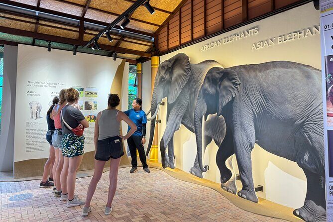 Koh Samui Elephant Home Sanctuary and the first Elephant Museum - Guide experience: when the human touch really matters