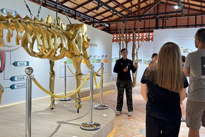 Koh Samui Elephant Home Sanctuary and the first Elephant Museum - Stop 2: The Elephant’s Legacy museum visit