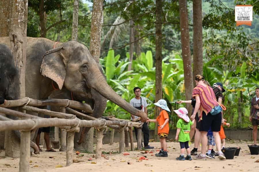 Koh Samui: Elephant Sanctuary Entry and Feeding Experience - Key Highlights at Elephant Jungle Sanctuary Samui