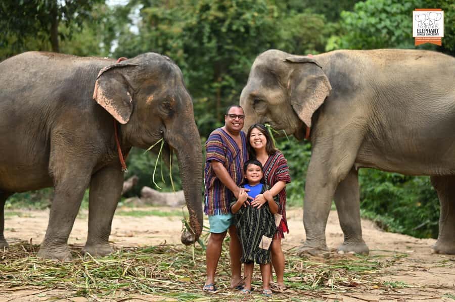 Koh Samui: Elephant Sanctuary Entry and Feeding Experience - How Koh Samui’s Sanctuary Feeding Experience Fits Into Your Day