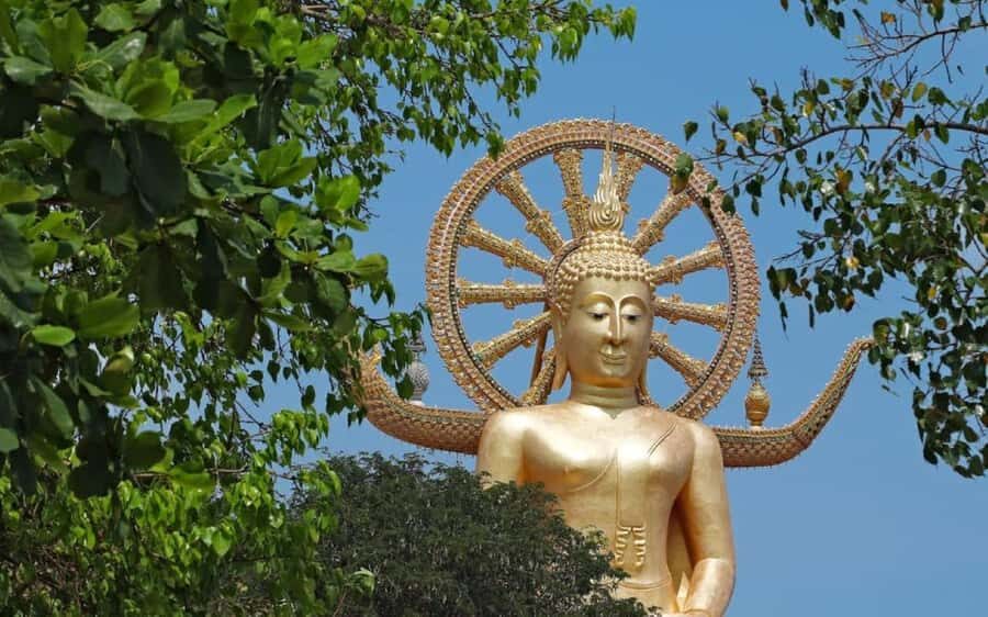 Koh Samui: Half-Day Highlights Tour with Hotel Transfers - Key highlights worth timing your morning for