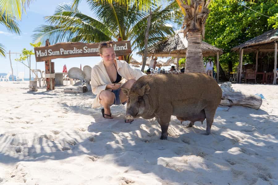Koh Samui: Island Hopping Adventure in Coral and Pig Island - Low-impact and GSTC touches: what you actually gain