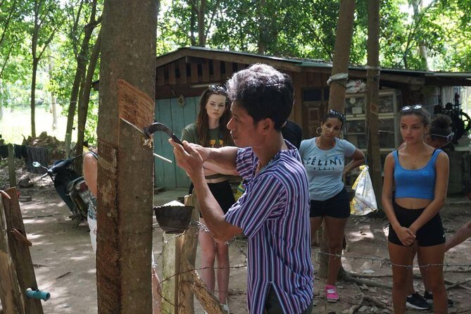 Koh Samui Jungle Safari Tour - Ta Nim Magic Garden: Secret Buddha Garden Vibes in the Hills