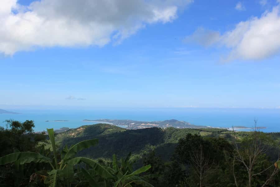 Koh Samui: Mr.Ung's 4WD Wild Jungle Safari Tour with Lunch - Riding the ex-army jeep: why this tour feels like more than sightseeing