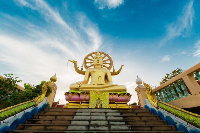 Koh Samui Off Road Jungle Tour - Price and Value: What $53 Buys on Samui