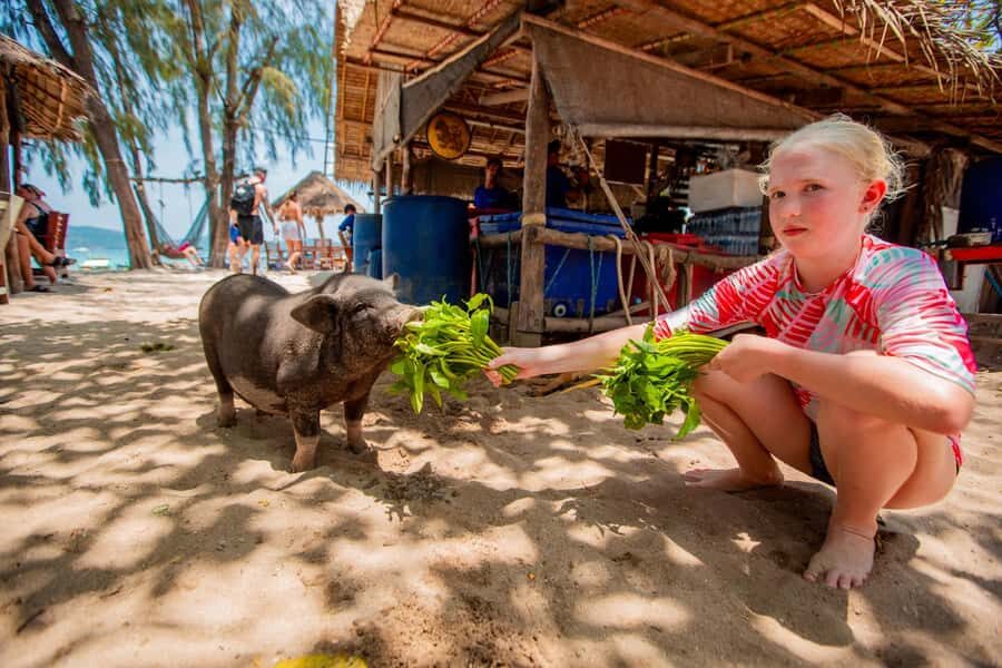 Koh Samui: Pig Island & Koh Tan Speedboat Tour with Lunch - Speedboat ride: fast, fun, and sometimes bumpy
