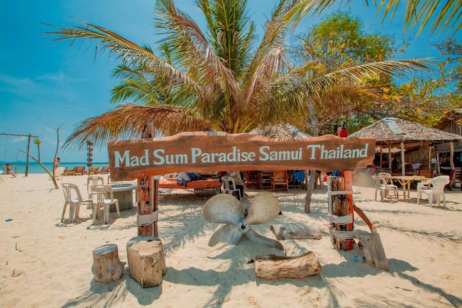 Koh Samui: Pig Island & Koh Tan Speedboat Tour with Lunch - Koh Taen: the snorkeling stop with a photo-and-swim rhythm