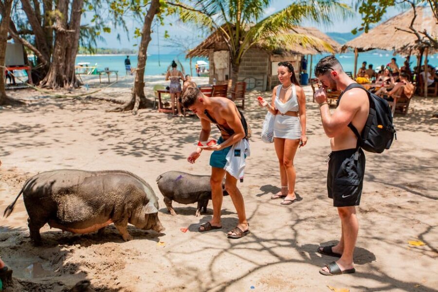 Koh Samui: Pig Island & Koh Tan Speedboat Tour with Lunch - Ko Madsum (Pig Island): feeding pigs, swimming, and kayaking