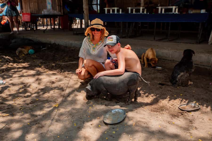 Koh Samui: Pig Island & Koh Tan Speedboat Tour with Lunch - Lunch at Thong Krut Pier: included food that keeps momentum