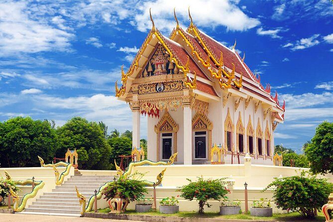 Koh Samui Private Customized Tour with Driver - Communication and expectations: limited English is the main variable