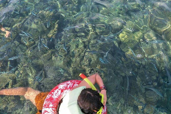 Koh Samui Snorkeling and Kayaking - The Koh Tan → Koh Madsum combo works (when you like variety)