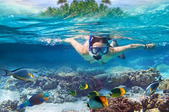 Koh Samui Snorkeling and Kayaking - Price and what you actually get for $63.59