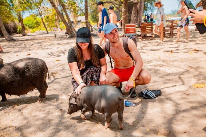 Koh Tan and Pig Island Half-Day Tour by Speed Catamaran - Key things to know before you go