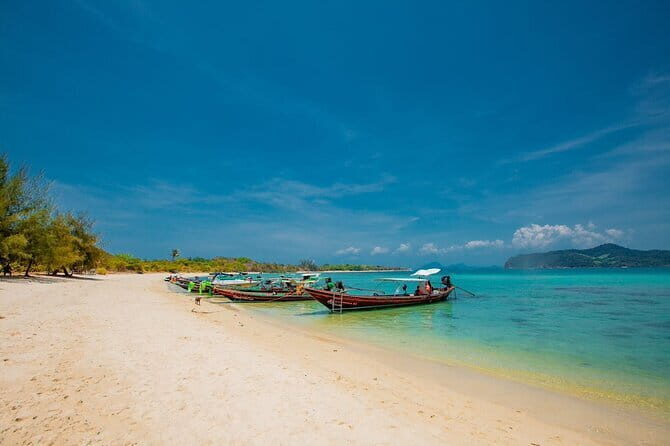 Koh Tan and Pig Island Half-Day Tour by Speed Catamaran - Who should book, and who should skip this tour