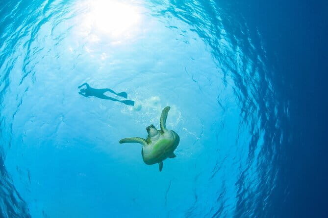 Koh Tan and Pig Island Half-Day Tour by Speed Catamaran - Practical checklist before you go
