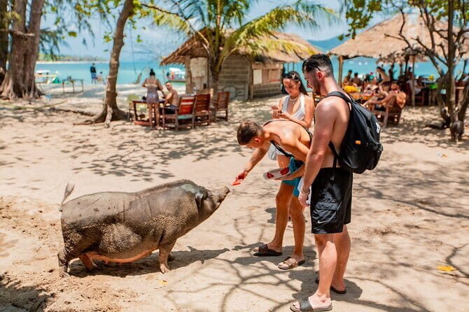 Koh Tan and Pig Island Half-Day Tour by Speed Catamaran - Pig Island (Ko Mat Sum): pigs, swimming, and the mess factor