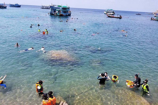 Koh Tao and Koh Nang Yuan Snorkeling Trip By Speedboat From Koh Samui - Who This Tour Fits Best (and Who Should Skip It)