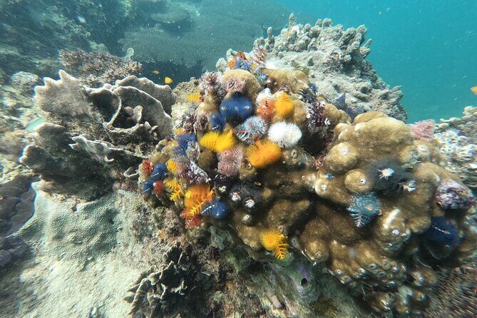 Koh Tao & Koh Nang Yuan Snorkeling Tour by Speed Boat from Samui - Equipment and Safety Basics: Snorkeling Gear, Life Jackets, and Insurance